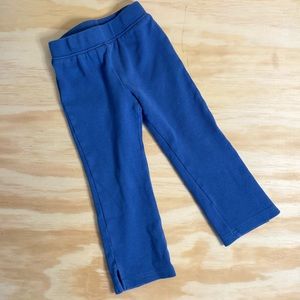 Tea Pants in Blue NWOT